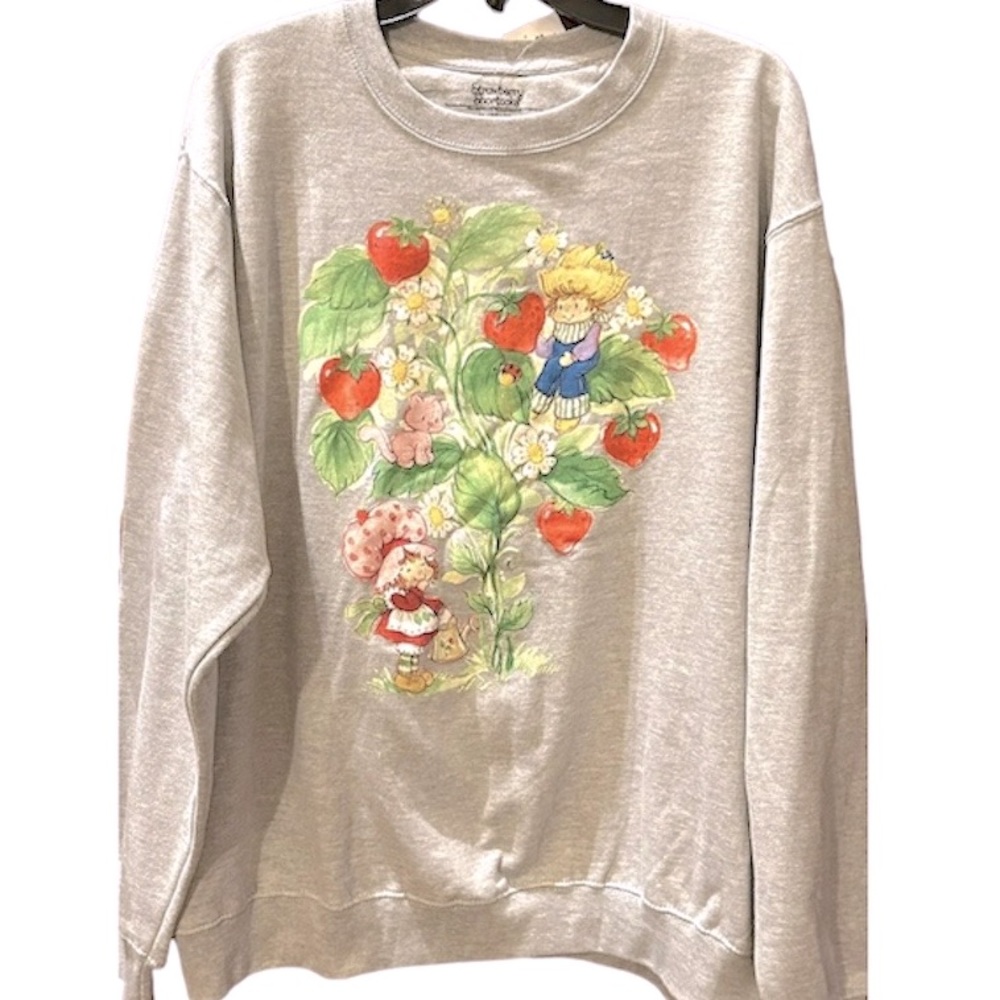 NWOT Strawberry Shortcake Sweater!